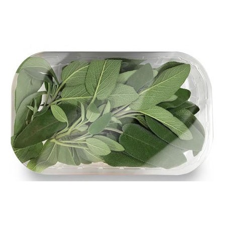 SALVIA VASSOIO 30 GR FRESCA